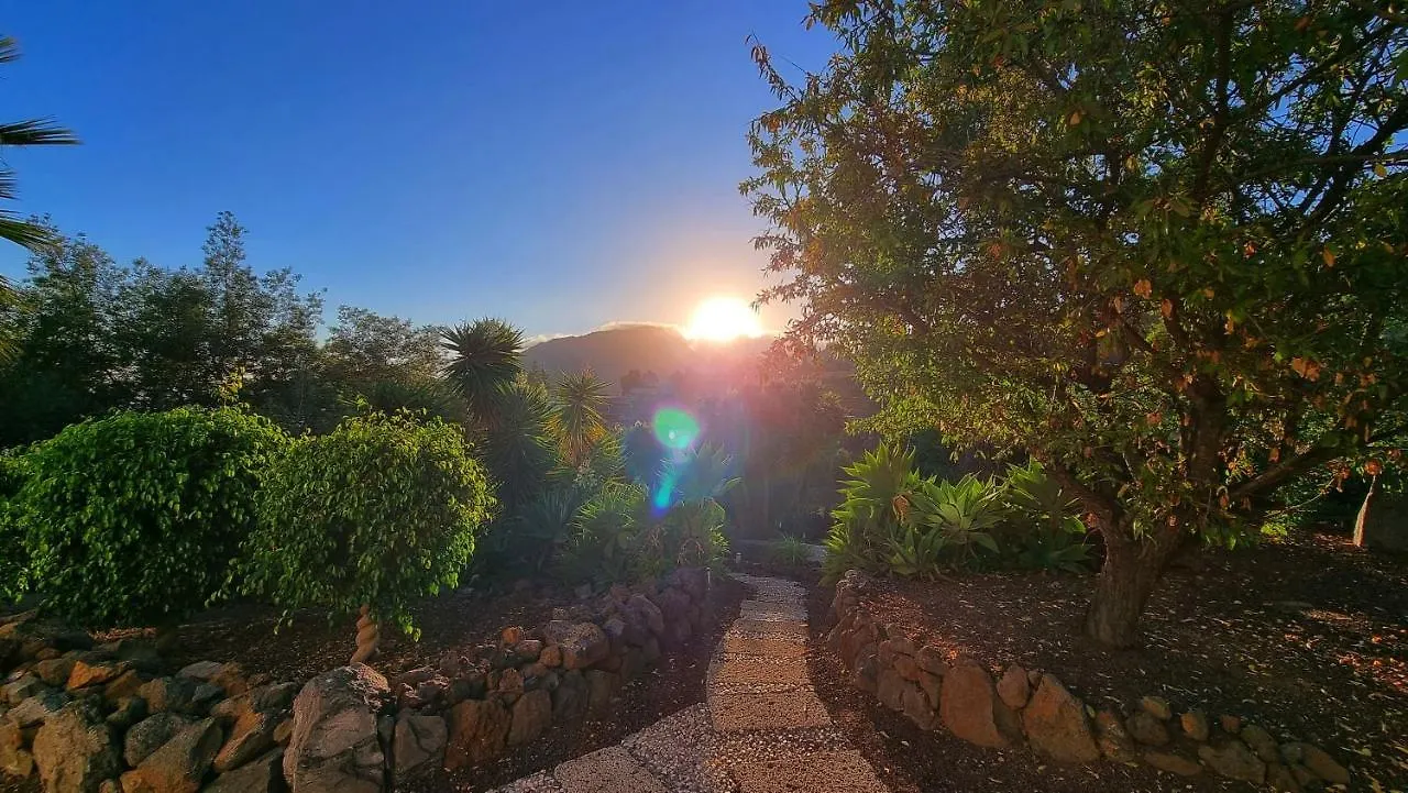 The Nest Tenerife Arona