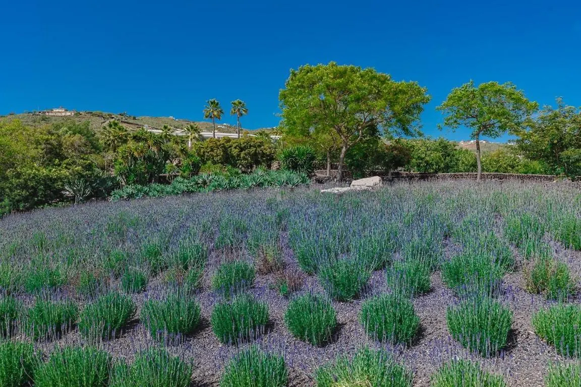 The Nest Tenerife Arona  Villa Arona (Tenerife)