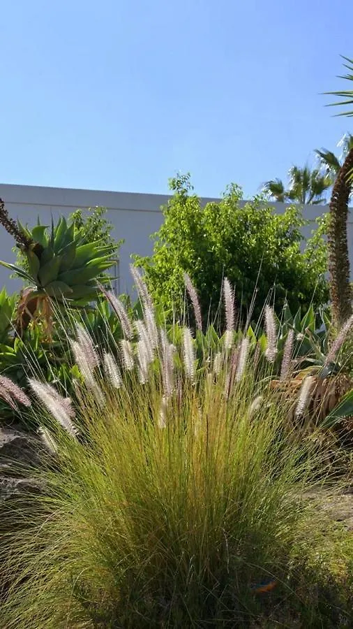 The Nest Tenerife Arona  Spanien