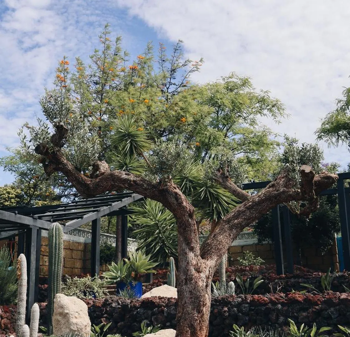 The Nest Tenerife Arona  Villa